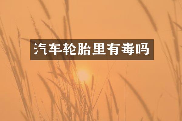 汽车轮胎里有毒吗