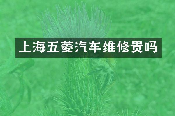 上海五菱汽车维修贵吗