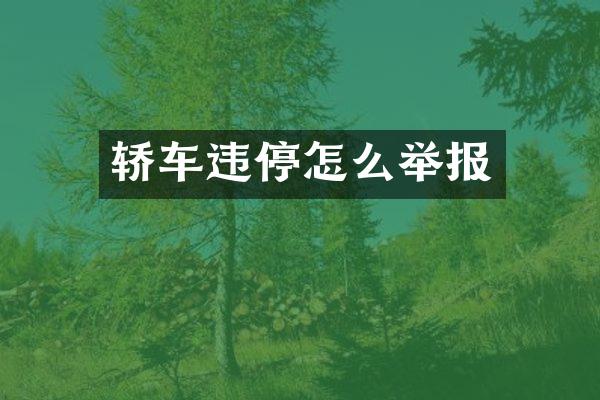 轿车违停怎么举报