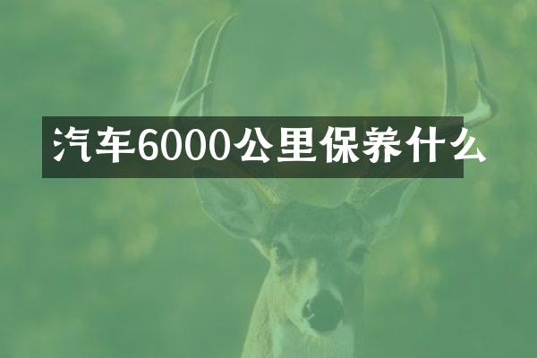 汽车6000公里保养什么