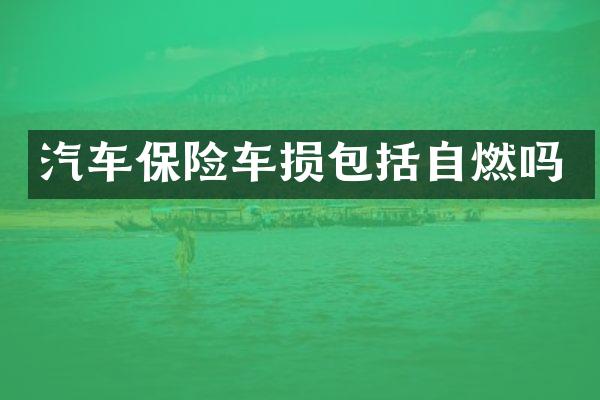 汽车保险车损包括自燃吗