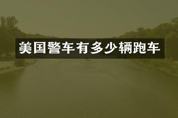 美国警车有多少辆跑车