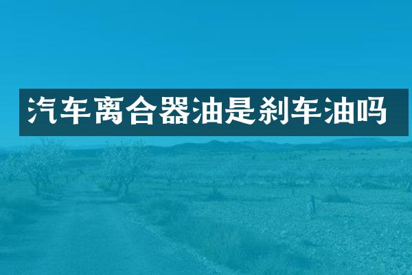 汽车离合器油是刹车油吗