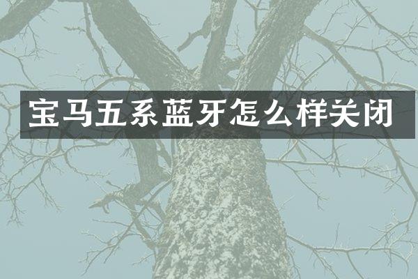 宝马五系蓝牙怎么样关闭