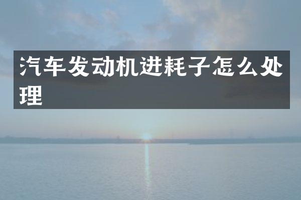 汽车发动机进耗子怎么处理