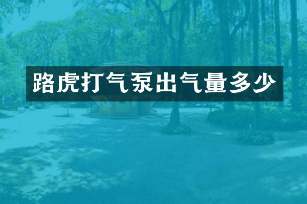 路虎打气泵出气量多少