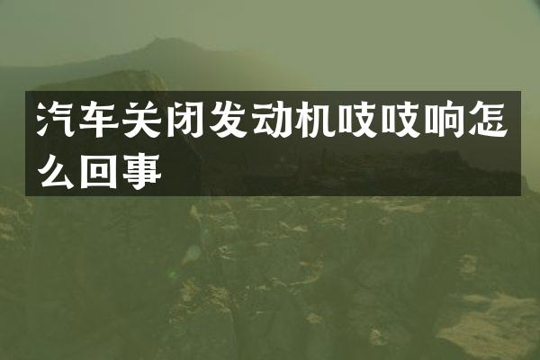 汽车关闭发动机吱吱响怎么回事
