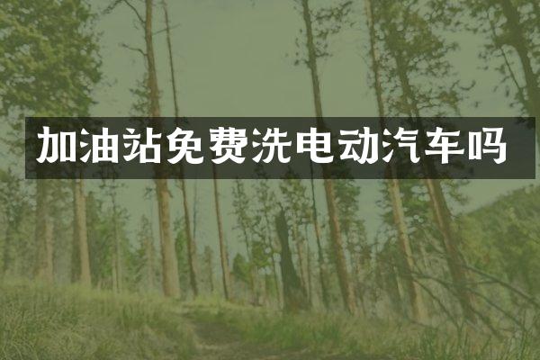 加油站免费洗电动汽车吗