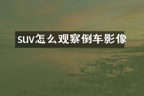suv怎么观察倒车影像