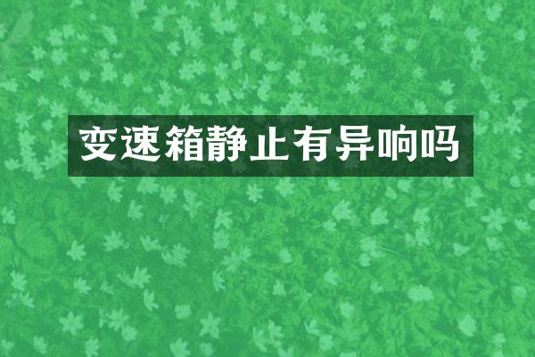 变速箱静止有异响吗