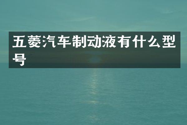 五菱汽车制动液有什么型号