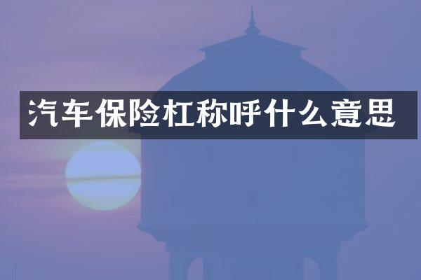 汽车保险杠称呼什么意思