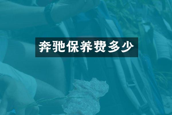 奔驰保养费多少