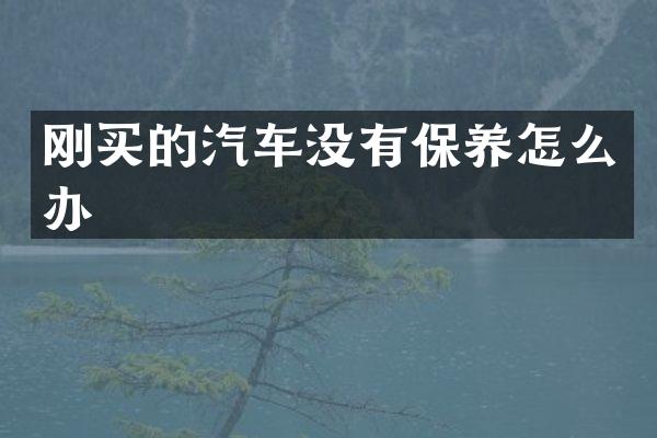 刚买的汽车没有保养怎么办