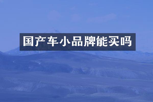 国产车小品牌能买吗