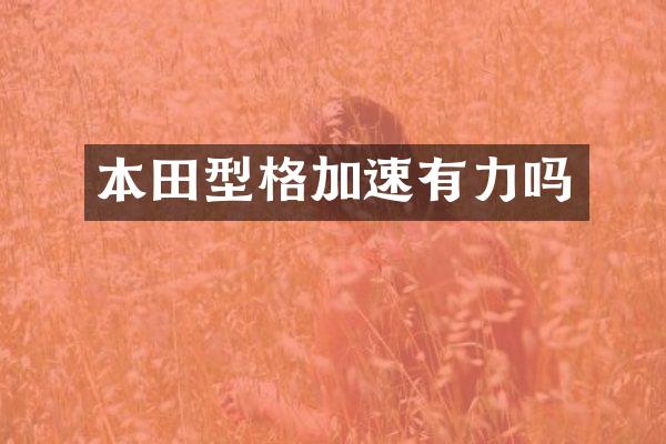本田型格加速有力吗