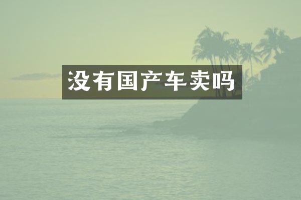 没有国产车卖吗