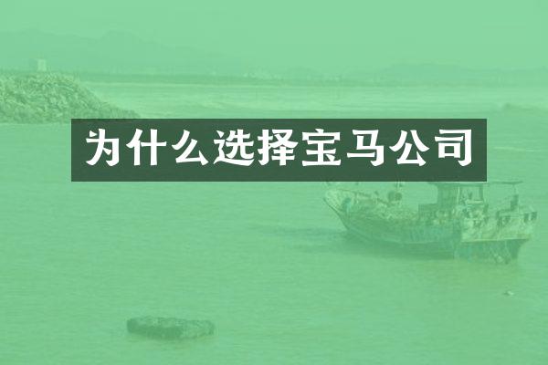 为什么选择宝马公司