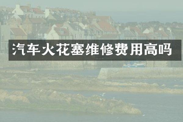 汽车火花塞维修费用高吗