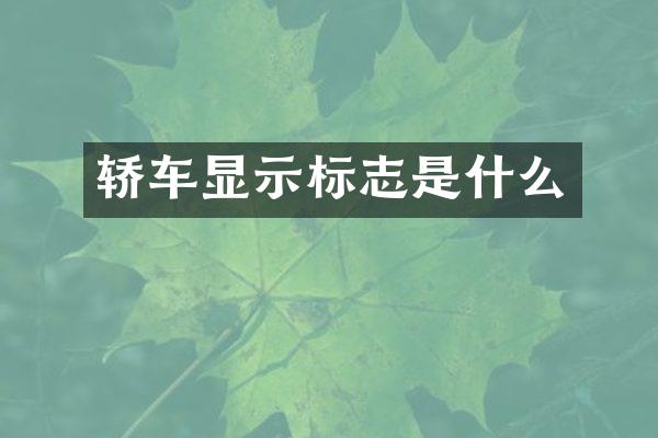 轿车显示标志是什么