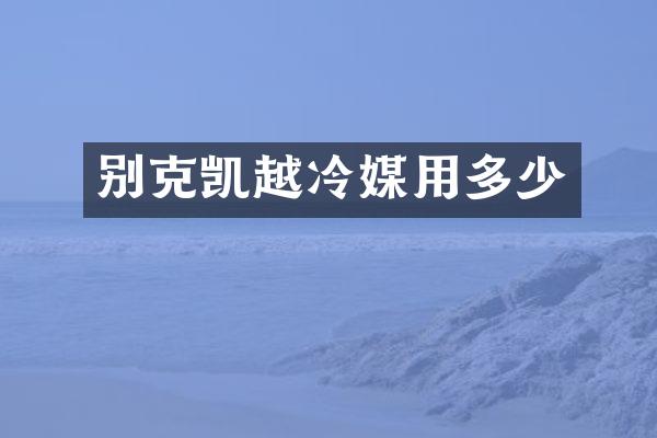 别克凯越冷媒用多少
