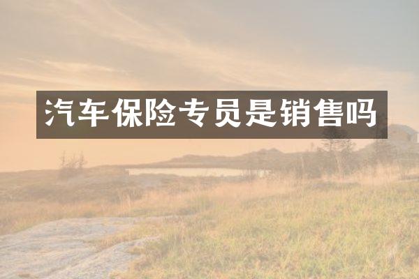 汽车保险专员是销售吗