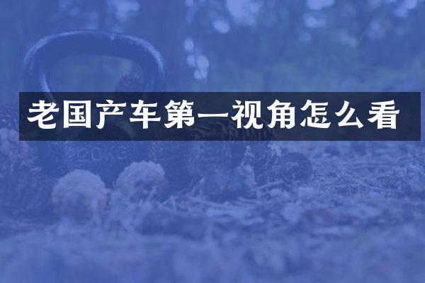 老国产车第一视角怎么看