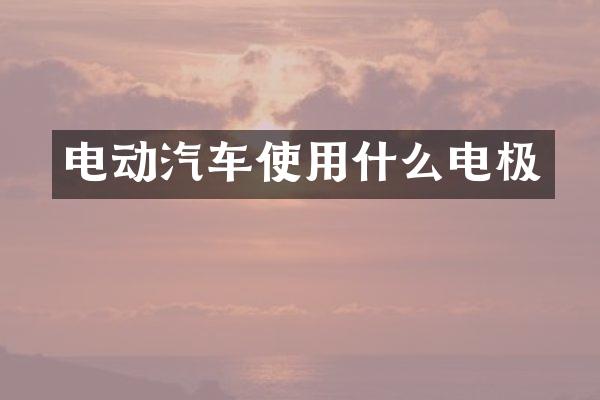电动汽车使用什么电极