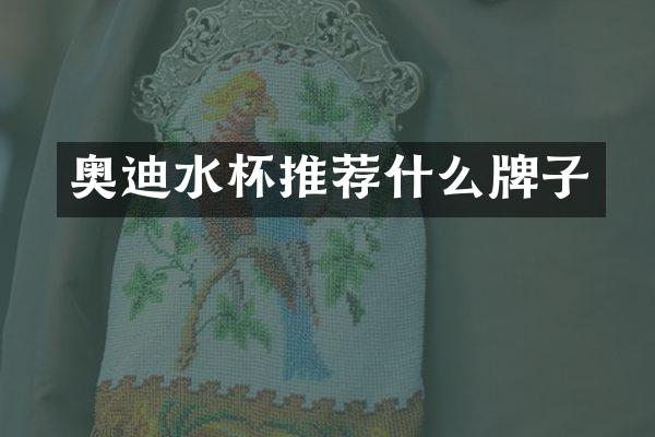 奥迪水杯推荐什么牌子