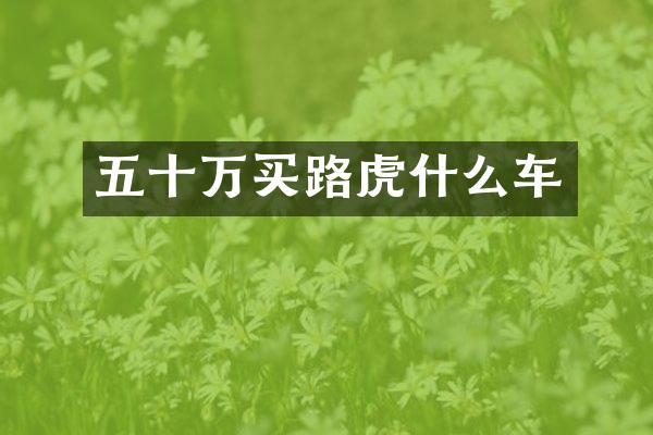 五十万买路虎什么车