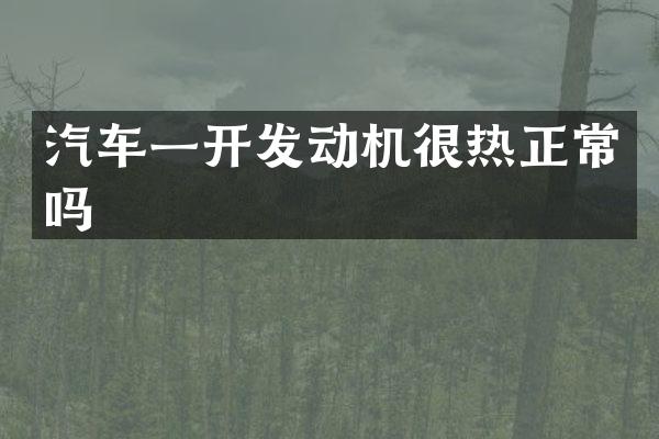 汽车一开发动机很热正常吗