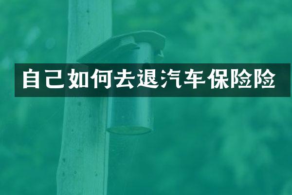 自己如何去退汽车保险险
