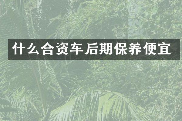 什么合资车后期保养便宜