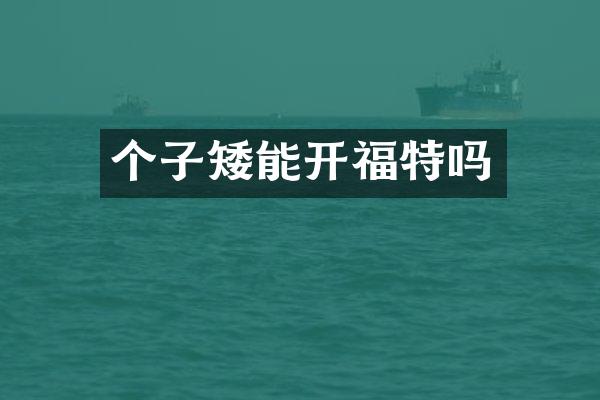 个子矮能开福特吗