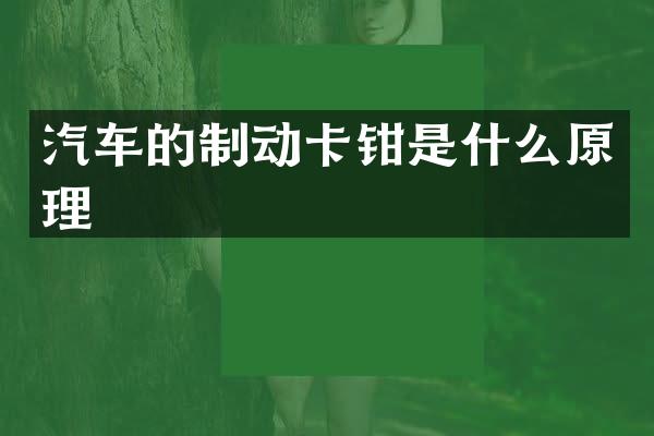 汽车的制动卡钳是什么原理