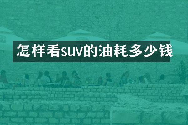 怎样看suv的油耗多少钱