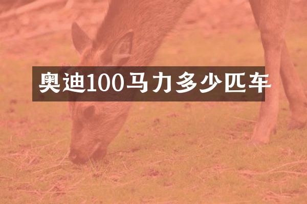 奥迪100马力多少匹车