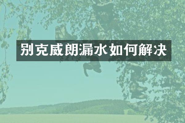 别克威朗漏水如何解决