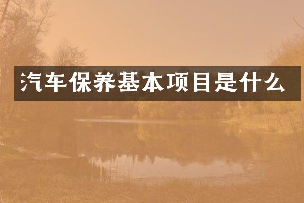 汽车保养基本项目是什么