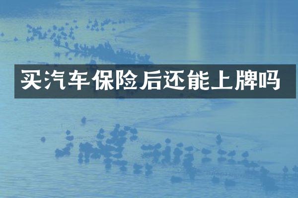 买汽车保险后还能上牌吗