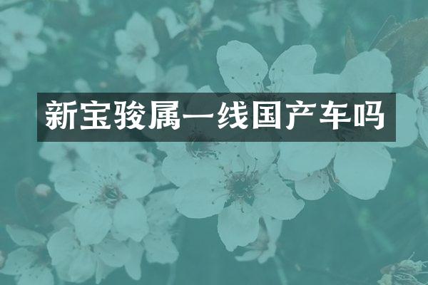 新宝骏属一线国产车吗