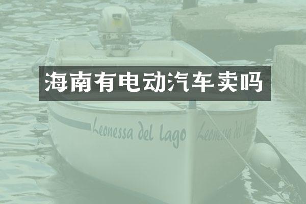海南有电动汽车卖吗