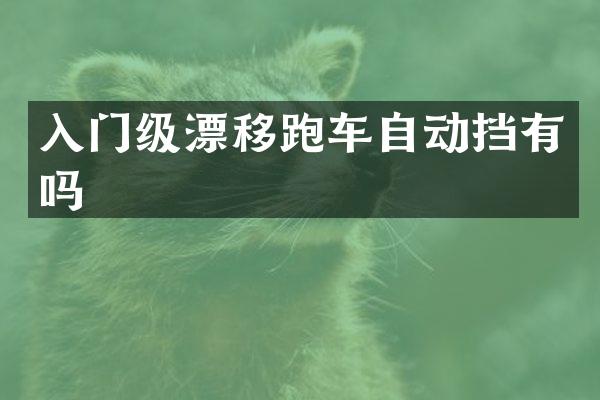入门级漂移跑车自动挡有吗