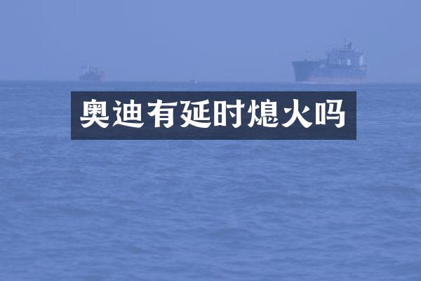 奥迪有延时熄火吗