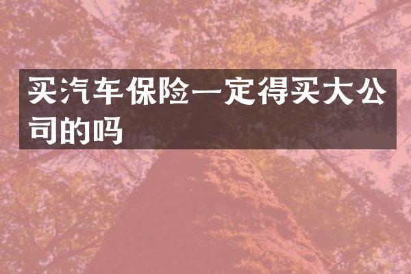 买汽车保险一定得买大公司的吗