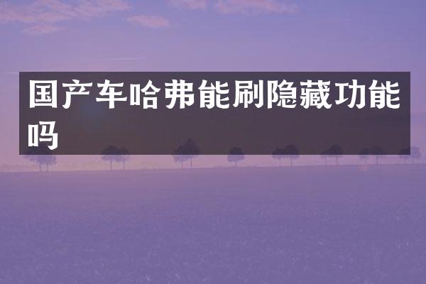 国产车哈弗能刷隐藏功能吗