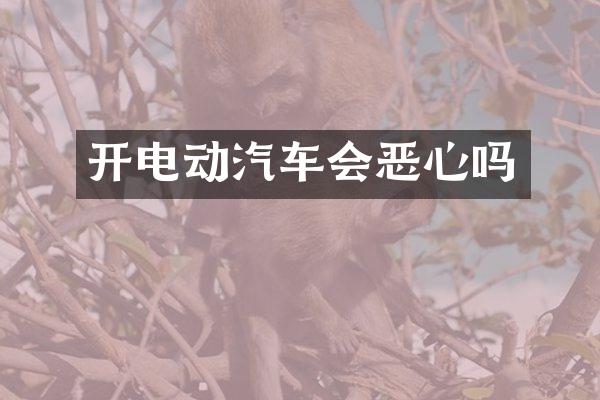 开电动汽车会恶心吗