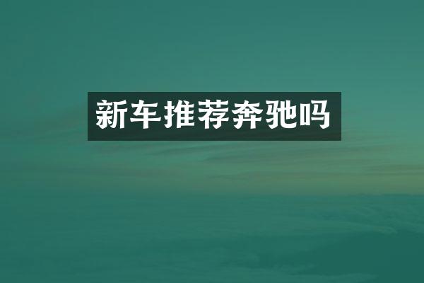 新车推荐奔驰吗