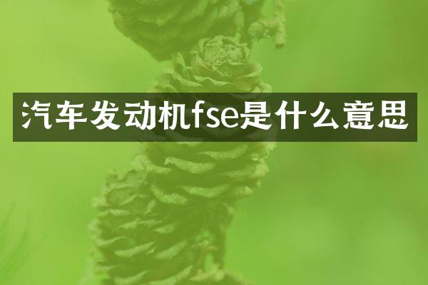 汽车发动机fse是什么意思