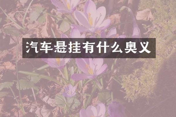 汽车悬挂有什么奥义